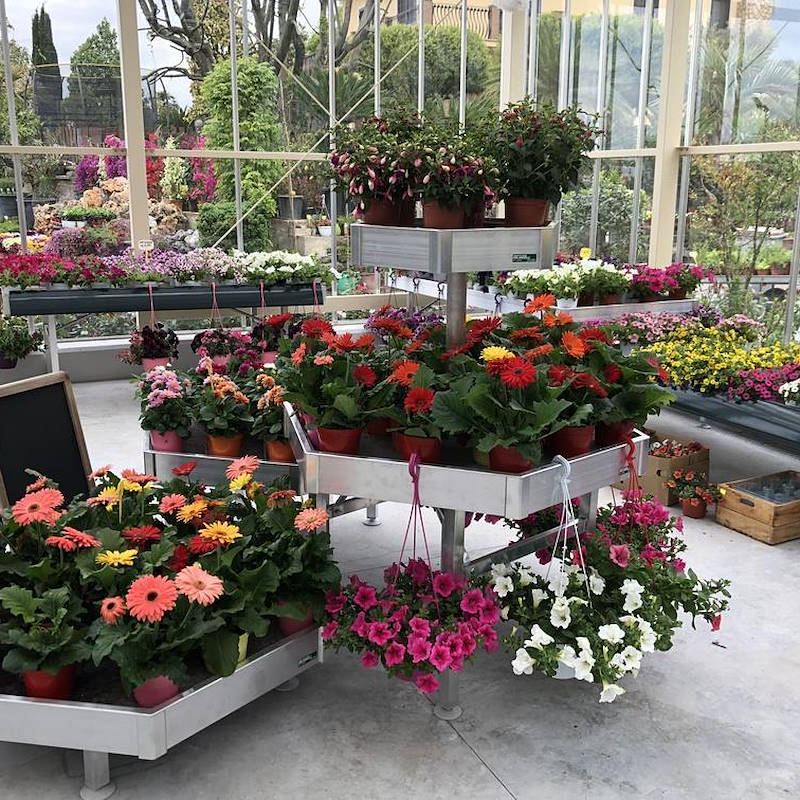 Hexagonal Display Set