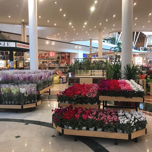 Table Ligne en bois AMOR