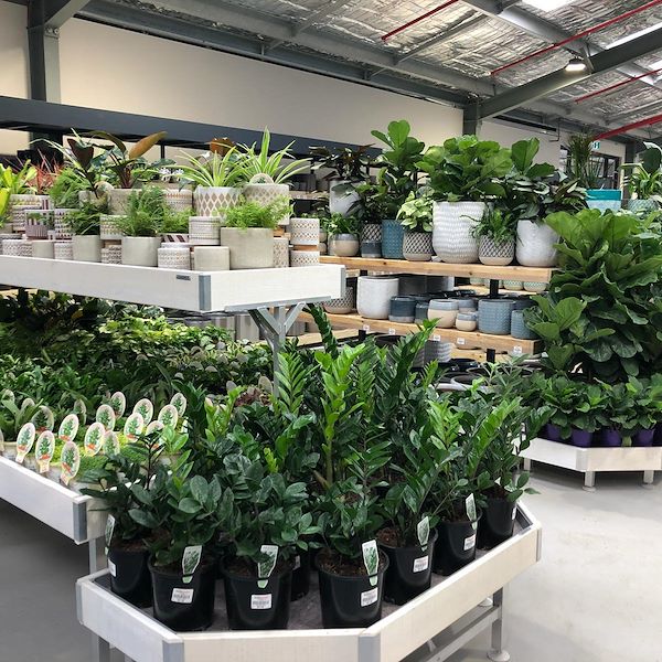 End-cap en madera AMOR