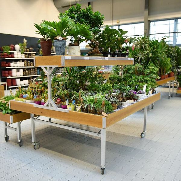 Top Bench / Mezzanine Wood line AMOR