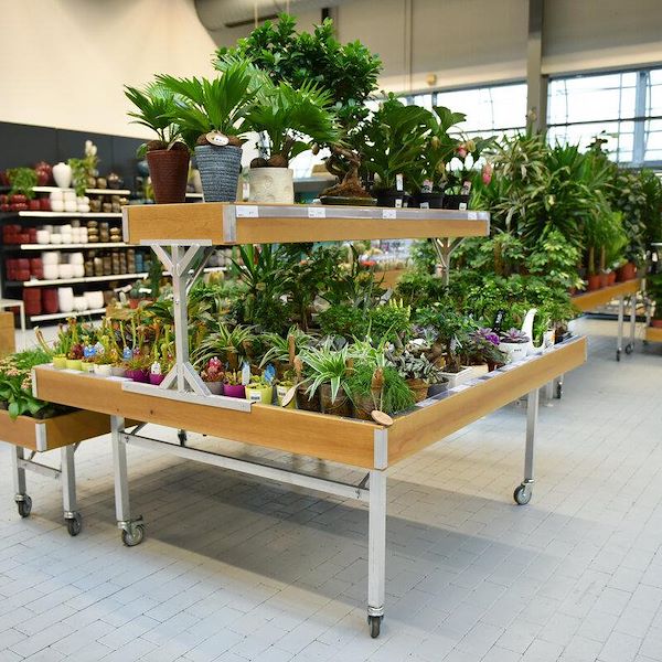 Table surélevée Ligne en bois AMOR