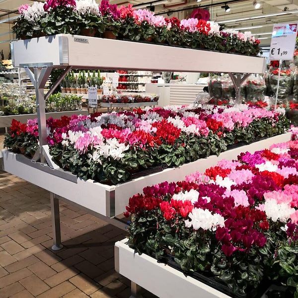 Table surélevée Ligne en bois AMOR