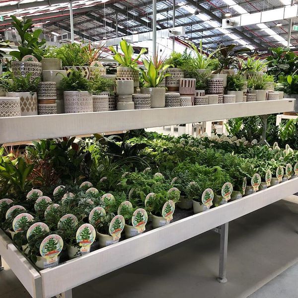 Mesa elevada Linea en madera AMOR