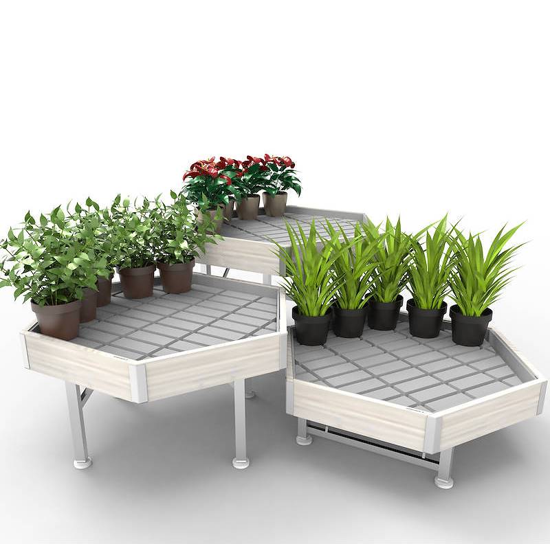 Hexagonal, wood line AMOR