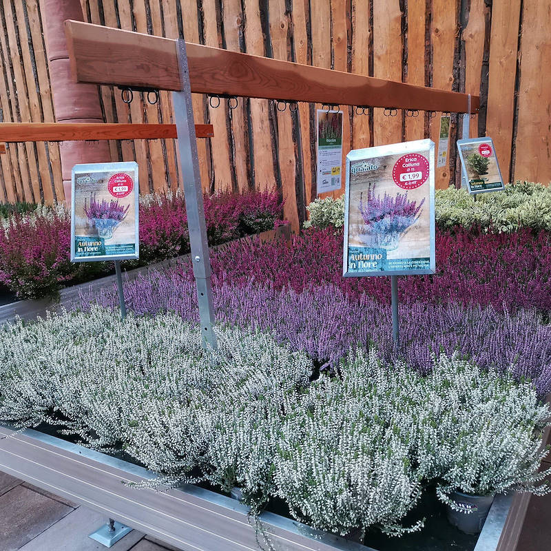 Wood cards holder with support adjustable in height