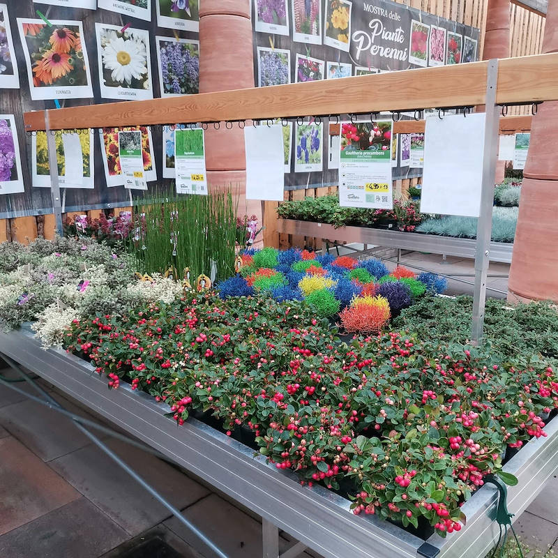 Porta gráfica en madera con soporte regulable en altura