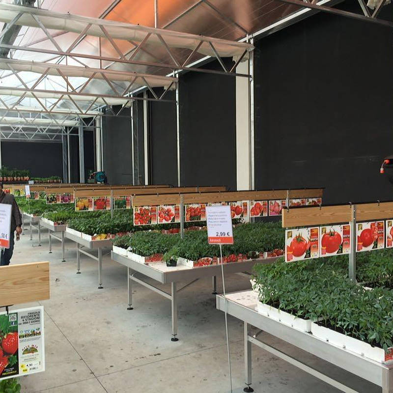 Wood cards holder with support adjustable in height