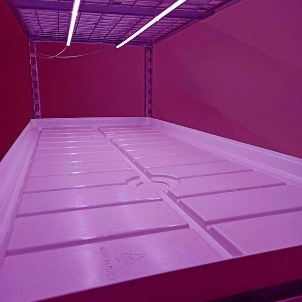 Chariot grillagé avec kit d'éclairage LED pour la micro-pousses