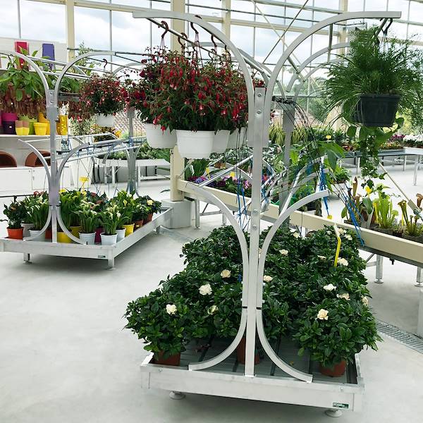 Chiringuito - pot plants display