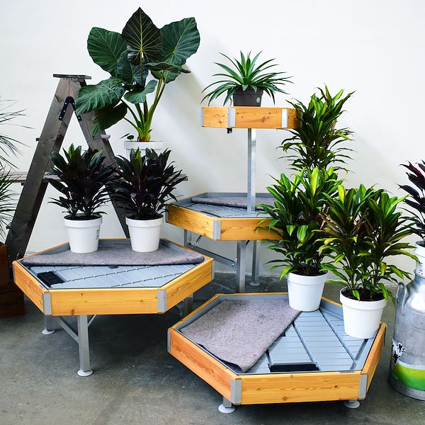 Mesa hexagonal en madera linea amor
