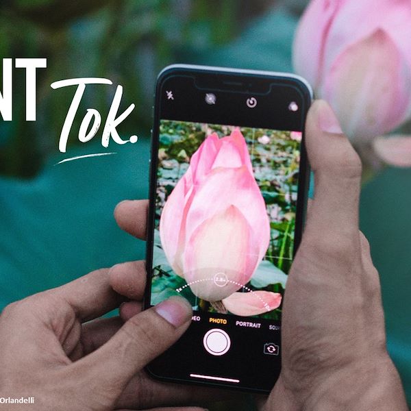 Garden Trends Report 2023 - Segunda Parte