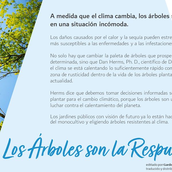 Garden Trends Report 2023 - Parte Tres