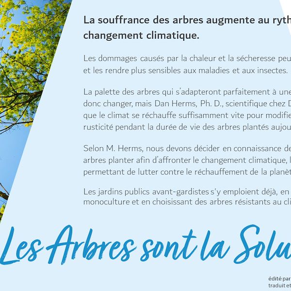 Garden Trends Report 2023 - Partie Trois