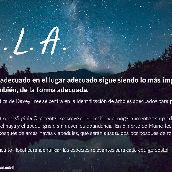 Garden Trends Report 2023 - Parte Tres