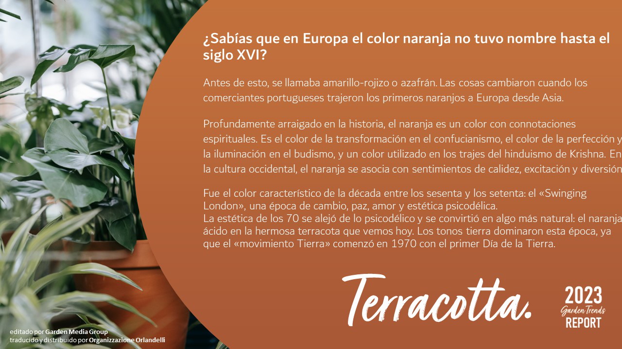 Terracotta - pag. 36