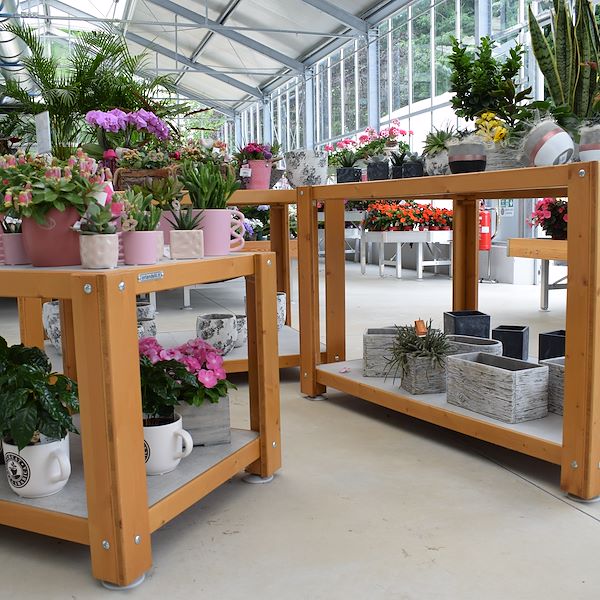 EL CENTRO DE JARDINERÍA FELTRINA