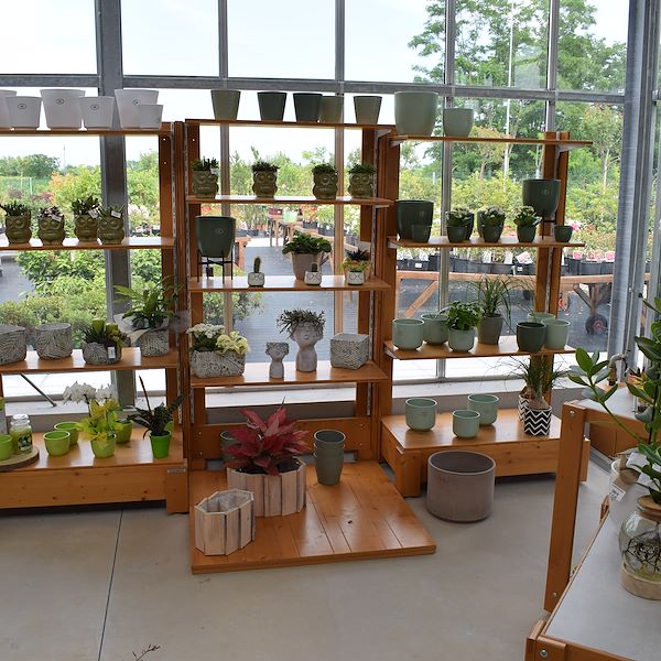 DAS GARTENZENTRUM FELTRINA