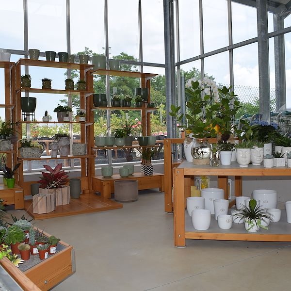 LA JARDINERIE FELTRINA