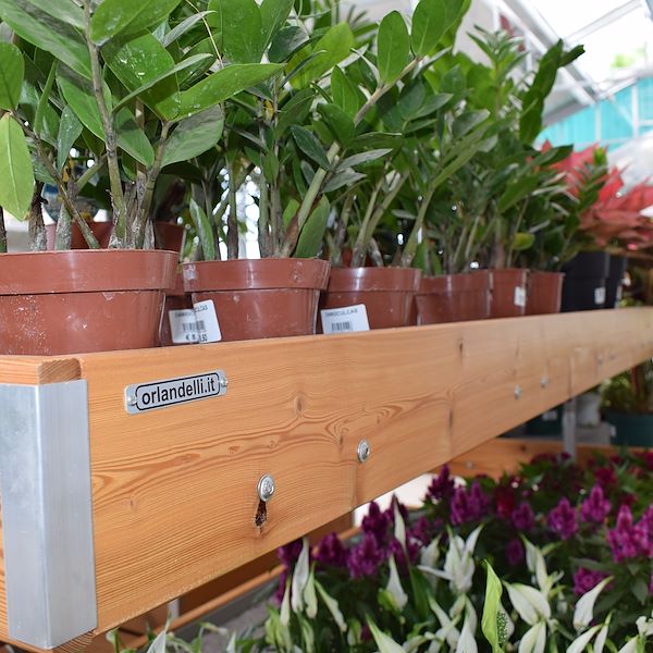 LA JARDINERIE FELTRINA