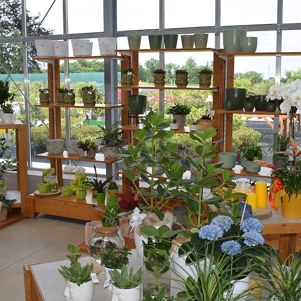 IL GARDEN CENTER FELTRINA