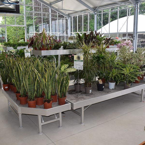 LA JARDINERIE FELTRINA