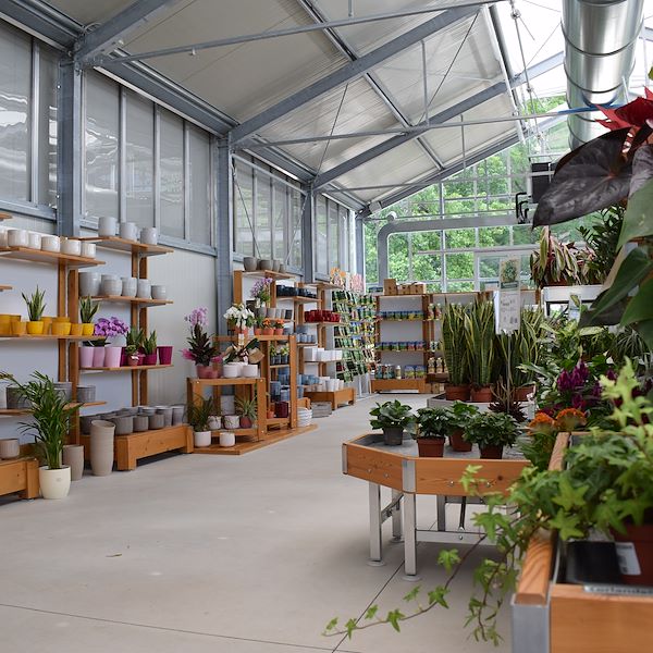 IL GARDEN CENTER FELTRINA