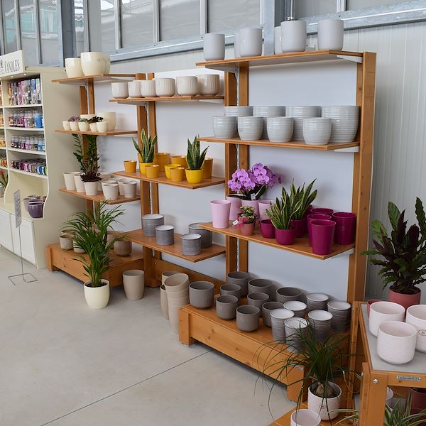 LA JARDINERIE FELTRINA