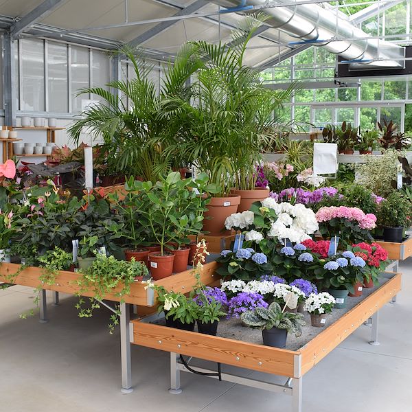 DAS GARTENZENTRUM FELTRINA
