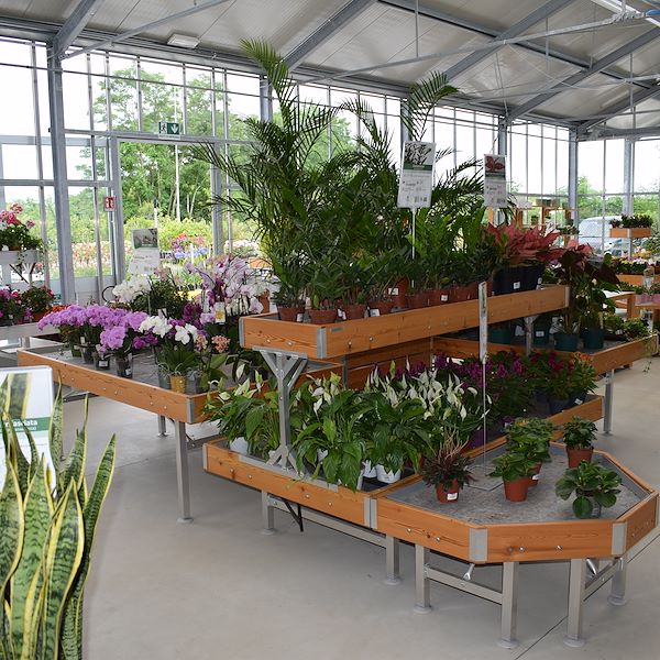 IL GARDEN CENTER FELTRINA
