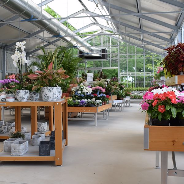 THE FELTRINA GARDEN CENTER