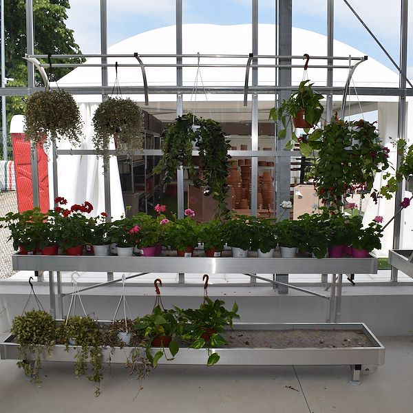 LA JARDINERIE FELTRINA