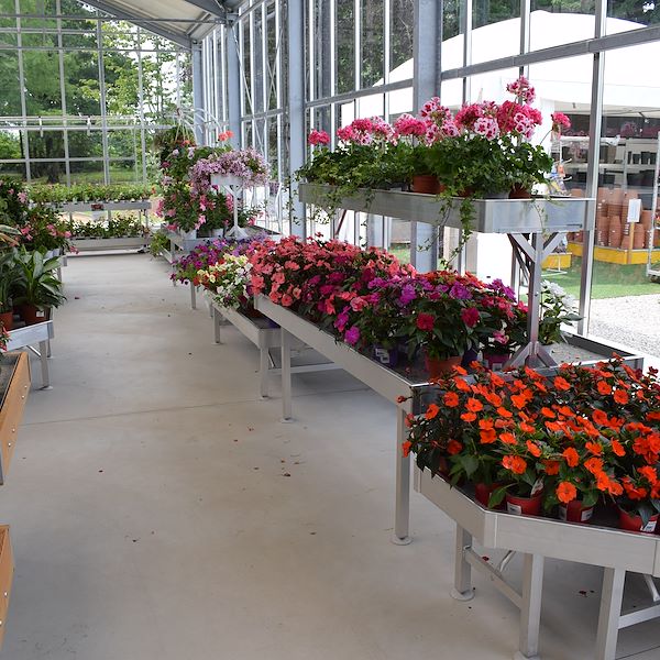 LA JARDINERIE FELTRINA