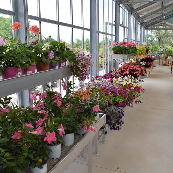 DAS GARTENZENTRUM FELTRINA