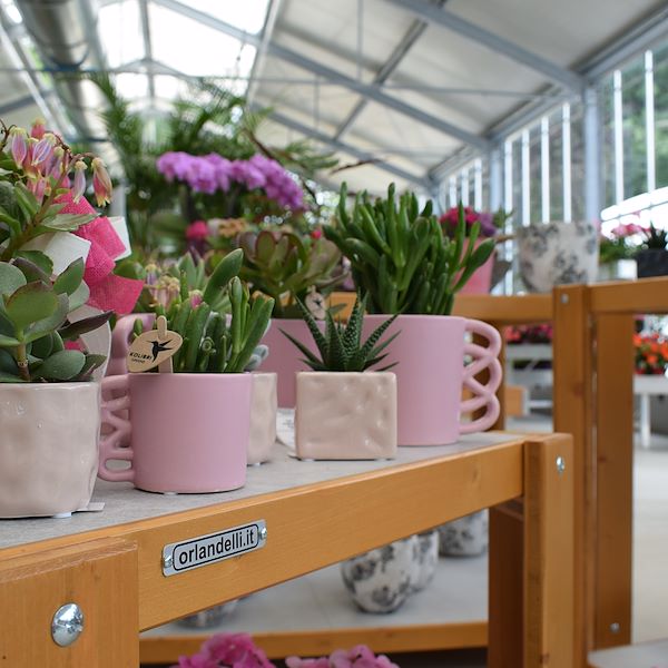 THE FELTRINA GARDEN CENTER