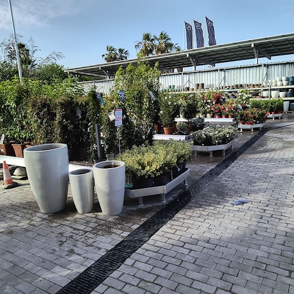 Les plantes d'extérieur