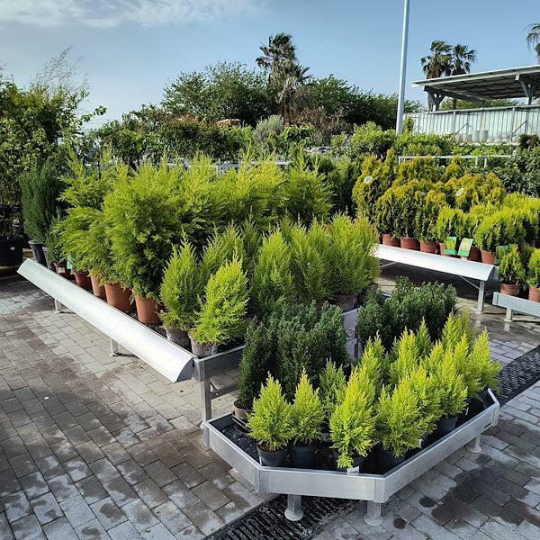 Las plantas de exterior