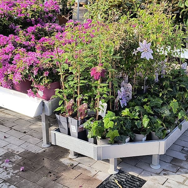 Les plantes d'extérieur
