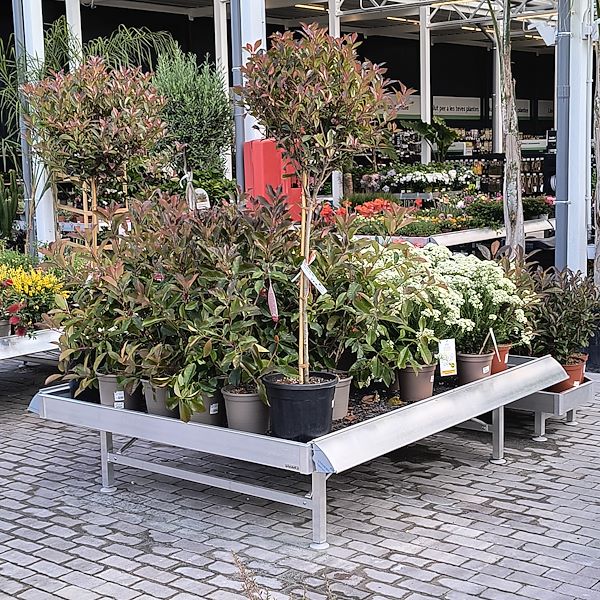 Las plantas de exterior