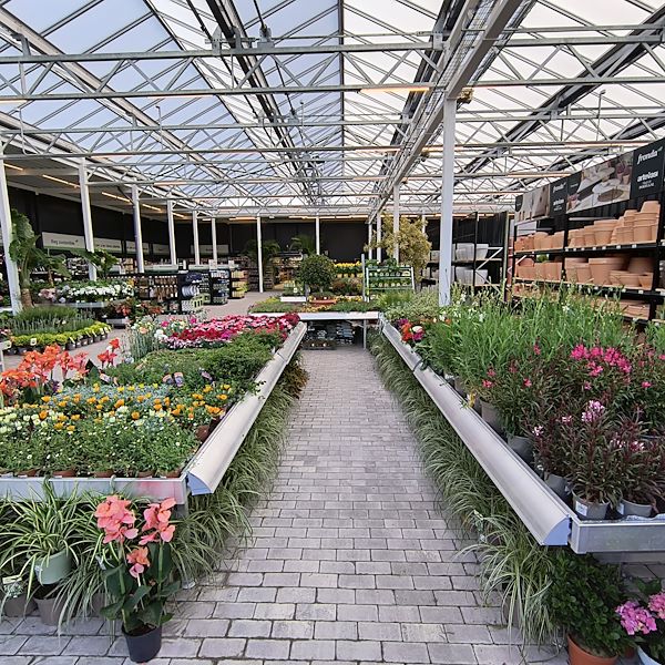 Le marché couvert