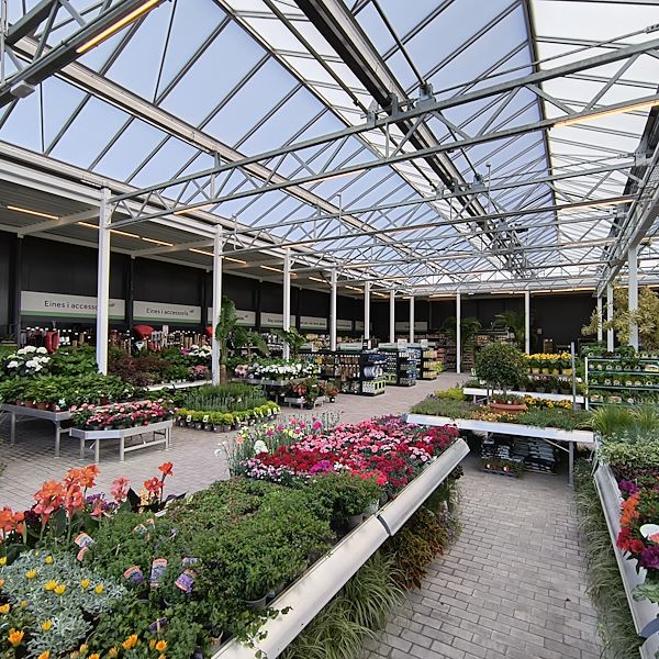 Il mercato coperto