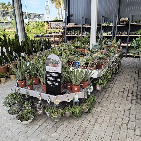 El mercado de abastos