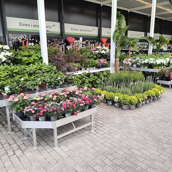 El mercado de abastos