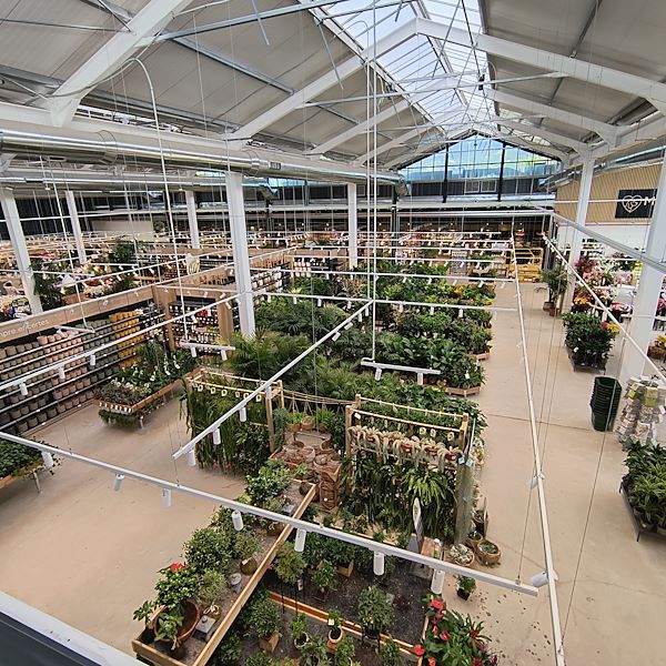 Les plantes d'intérieur