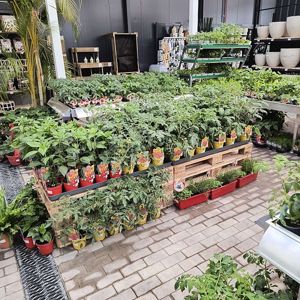 Le marché couvert