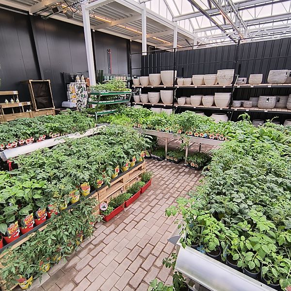 The indoor market