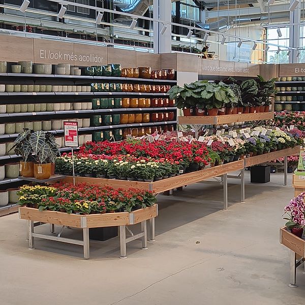 Indoor plants