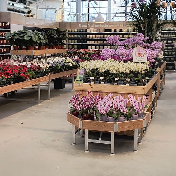 Les plantes d'intérieur