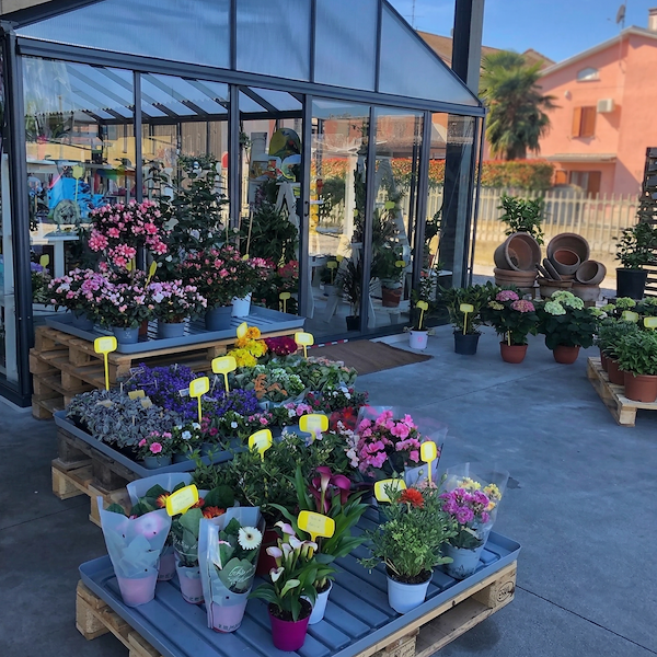 Bac pour Europalette - Réserve d'eau