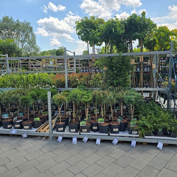 L'ouverture - PRAKTIS