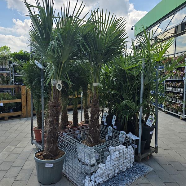 L'ouverture - PRAKTIS